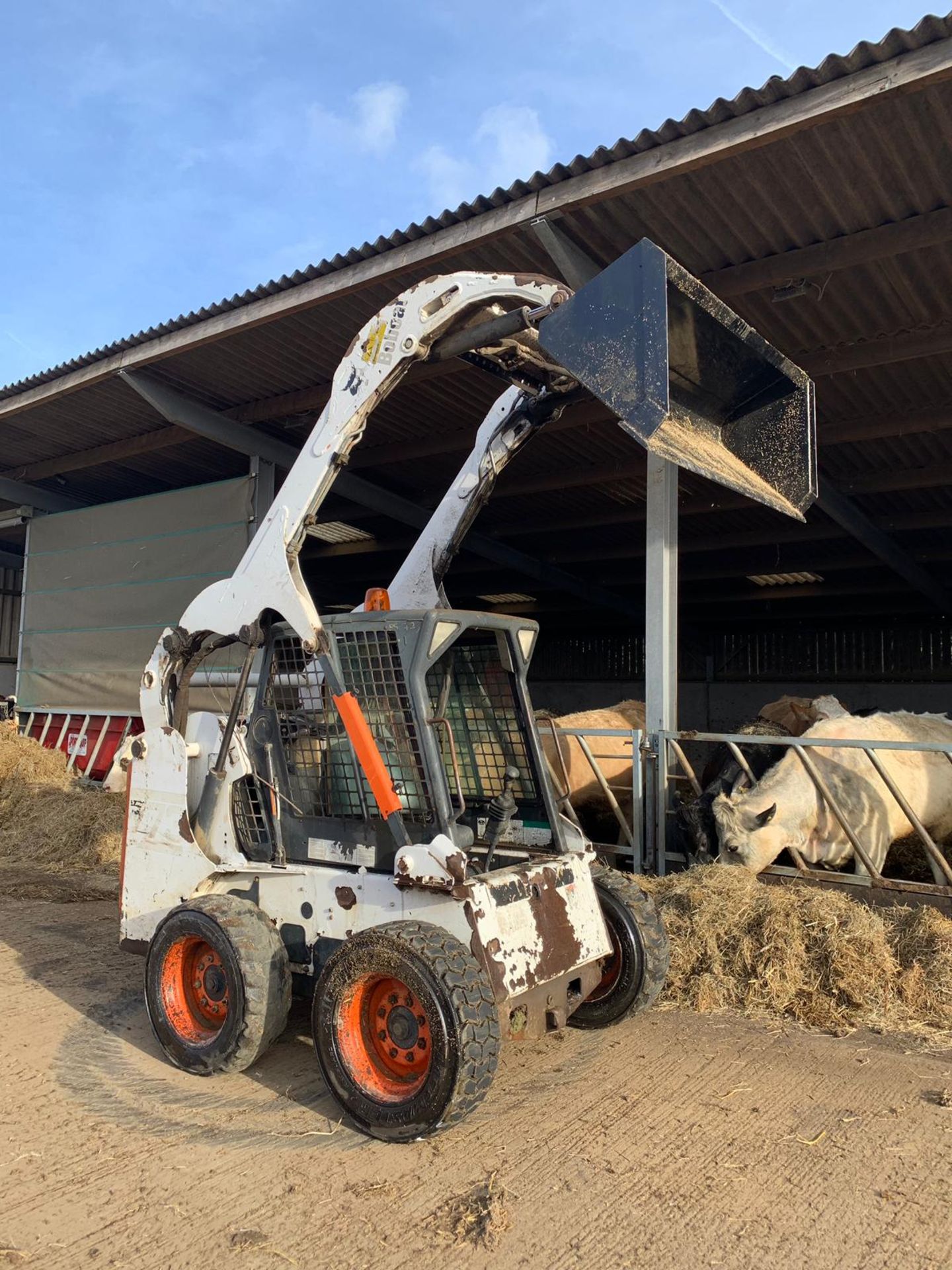 2001 BOBCAT SKIDSTEER 773, NEW BUCKET *PLUS VAT* - Image 5 of 18