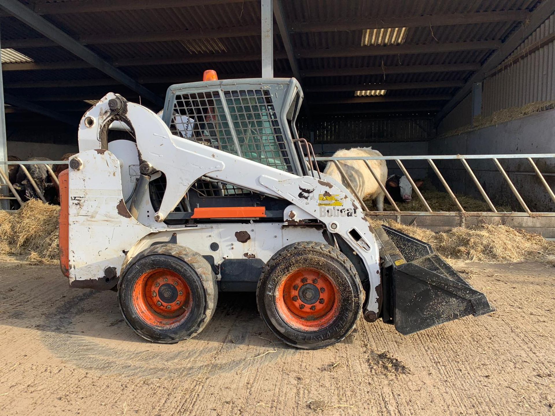 2001 BOBCAT SKIDSTEER 773, NEW BUCKET *PLUS VAT* - Image 4 of 18