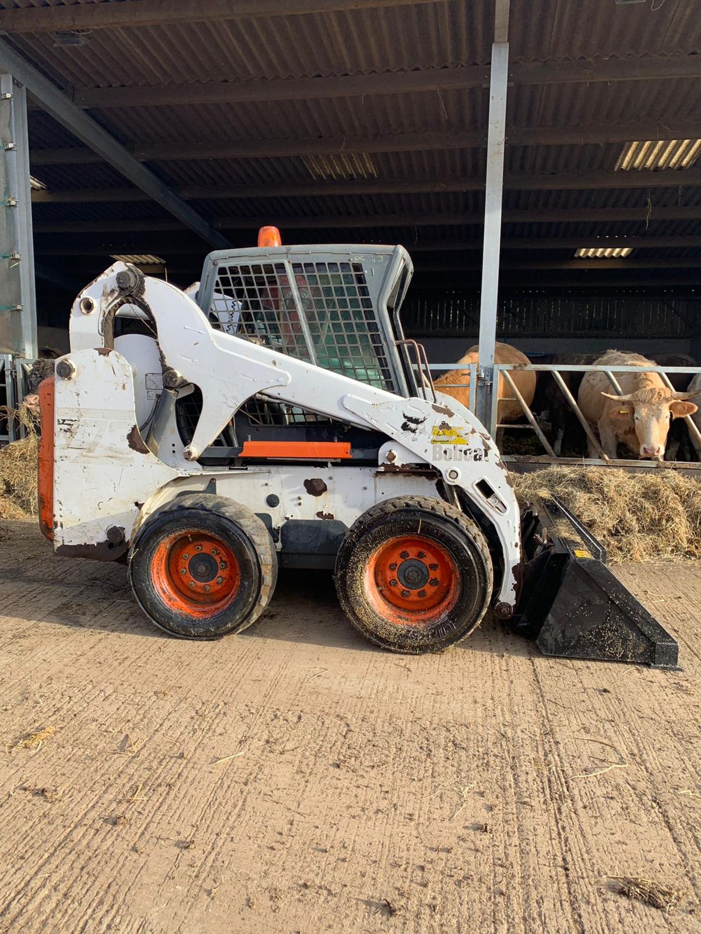 2001 BOBCAT SKIDSTEER 773, NEW BUCKET *PLUS VAT* - Image 2 of 18