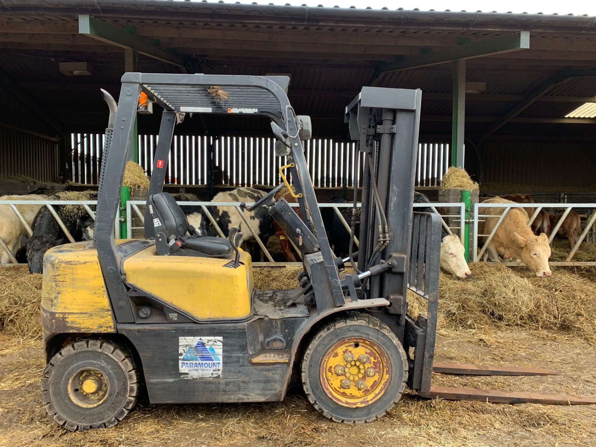 2003 DAEWOO D25S-3 2500KG DIESEL FORKLIFT CONTAINER SPEC WITH SIDE SHIFT *PLUS VAT* - Image 6 of 13