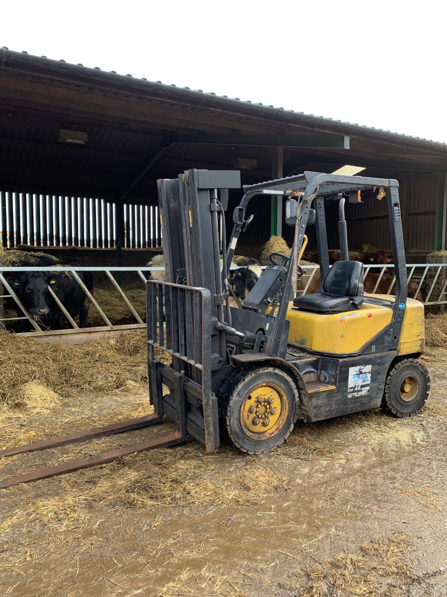 2003 DAEWOO D25S-3 2500KG DIESEL FORKLIFT CONTAINER SPEC WITH SIDE SHIFT *PLUS VAT* - Image 5 of 13