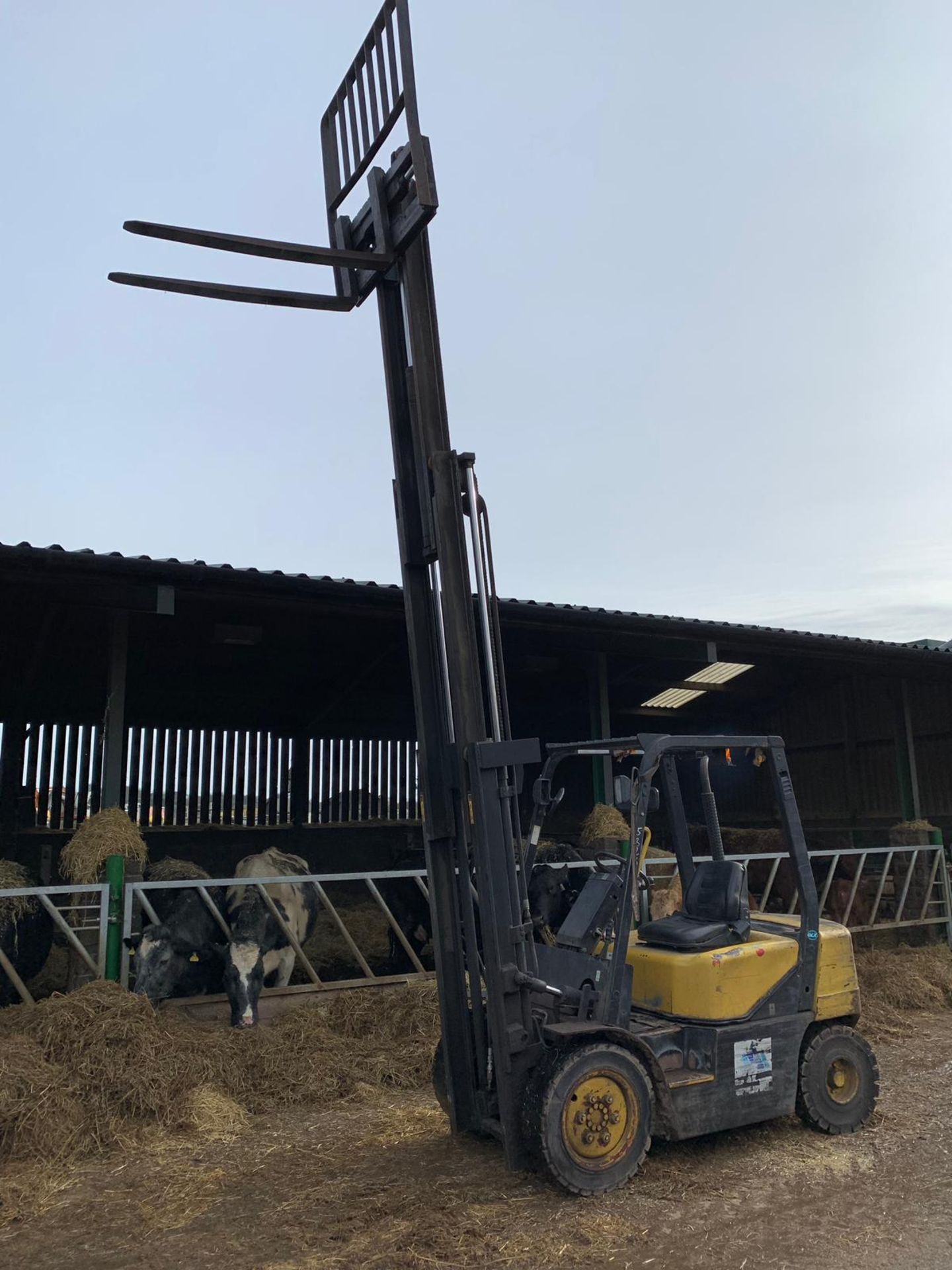 2003 DAEWOO D25S-3 2500KG DIESEL FORKLIFT CONTAINER SPEC WITH SIDE SHIFT *PLUS VAT* - Image 2 of 13