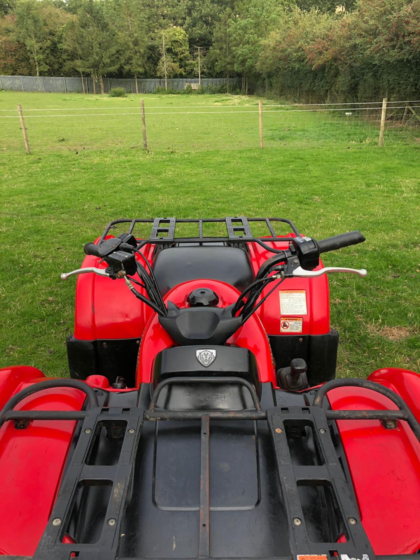 2010 YAMAHA GRIZZLY 660 4 WHEEL DRIVE FARM QUAD, RUNS & WORKS AS IT SHOULD *NO VAT* - Image 4 of 9