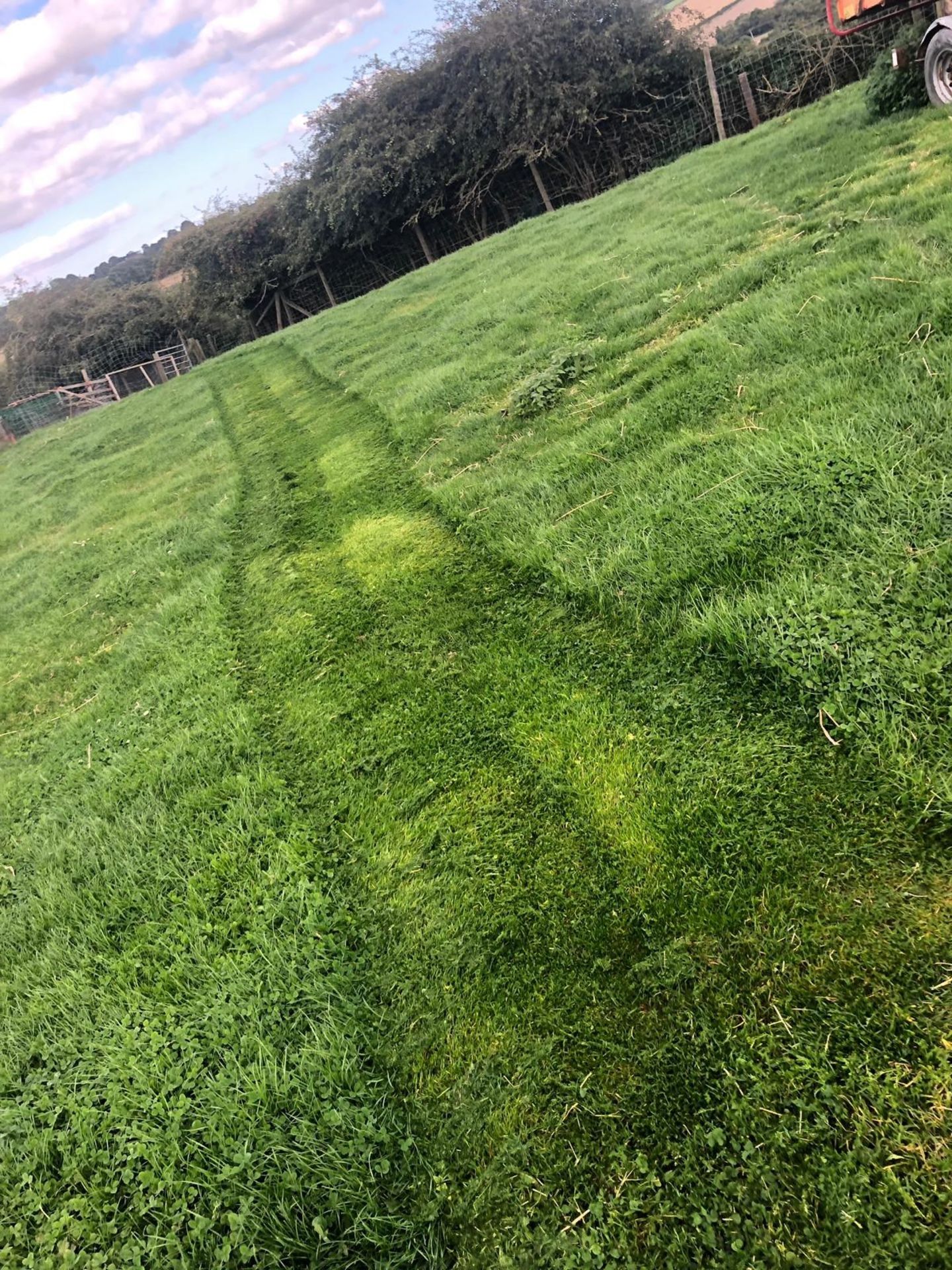 TORO 14-38 RIDE ON LAWN MOWER, RUNS WORKS CUTS *NO VAT* - Image 4 of 6