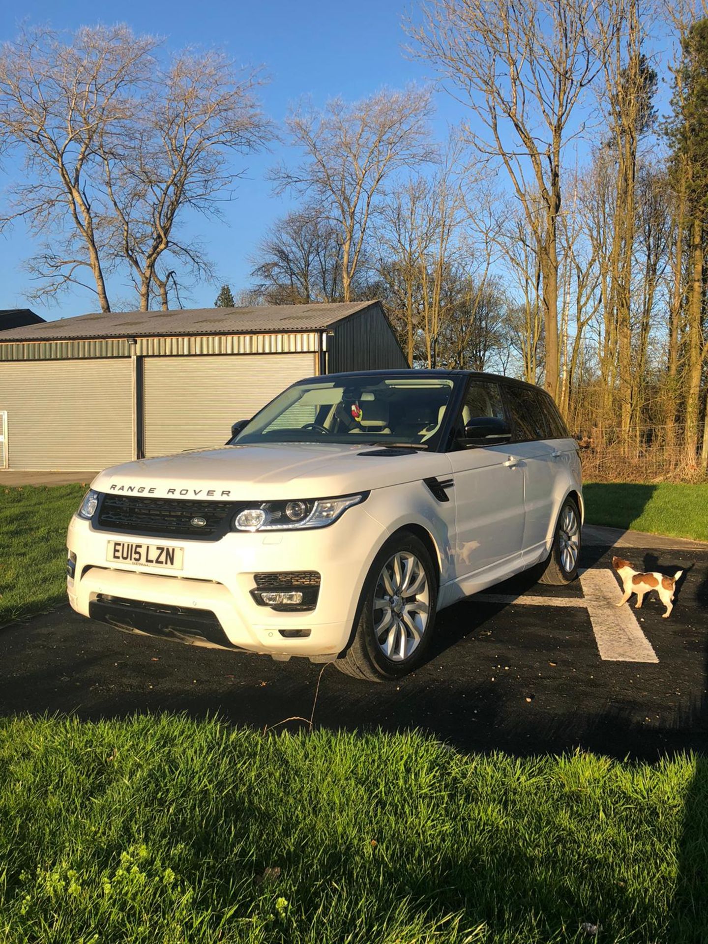 2015/15 REG RANGE ROVER SPORT HSE 3.0 V6 WHITE DIESEL 4X4, FULL DEALER SERVICE HISTORY *NO VAT* - Image 2 of 7