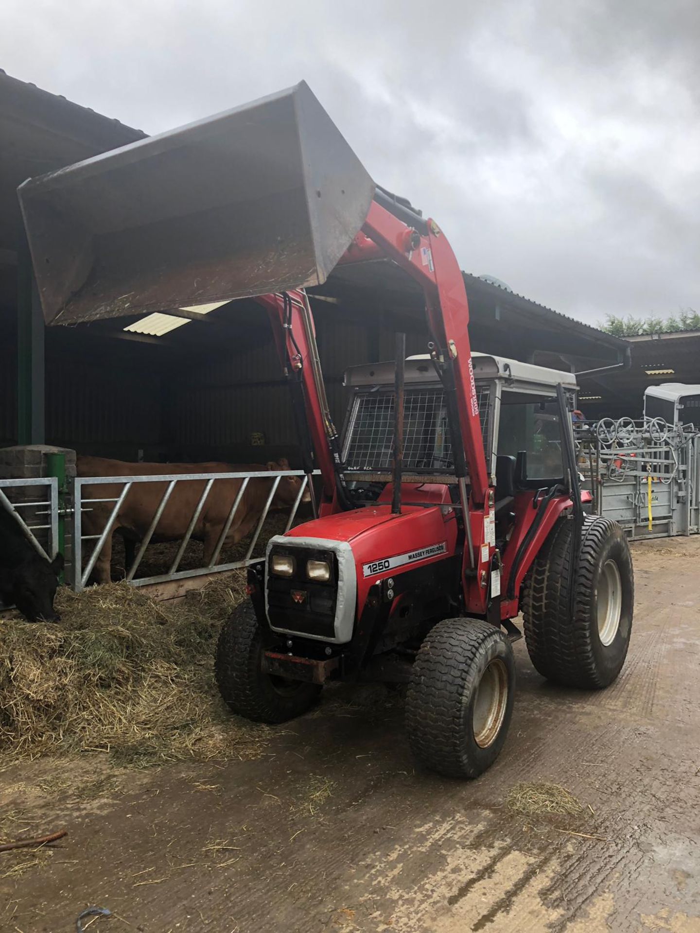 MASSEY FERGUSON 1250 COMPACT TRACTOR WITH FULL CAB AND FRONT LOADING SHOVEL *PLUS VAT* - Image 11 of 25