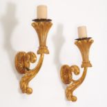 Pair large Neoclassic carved giltwood sconces