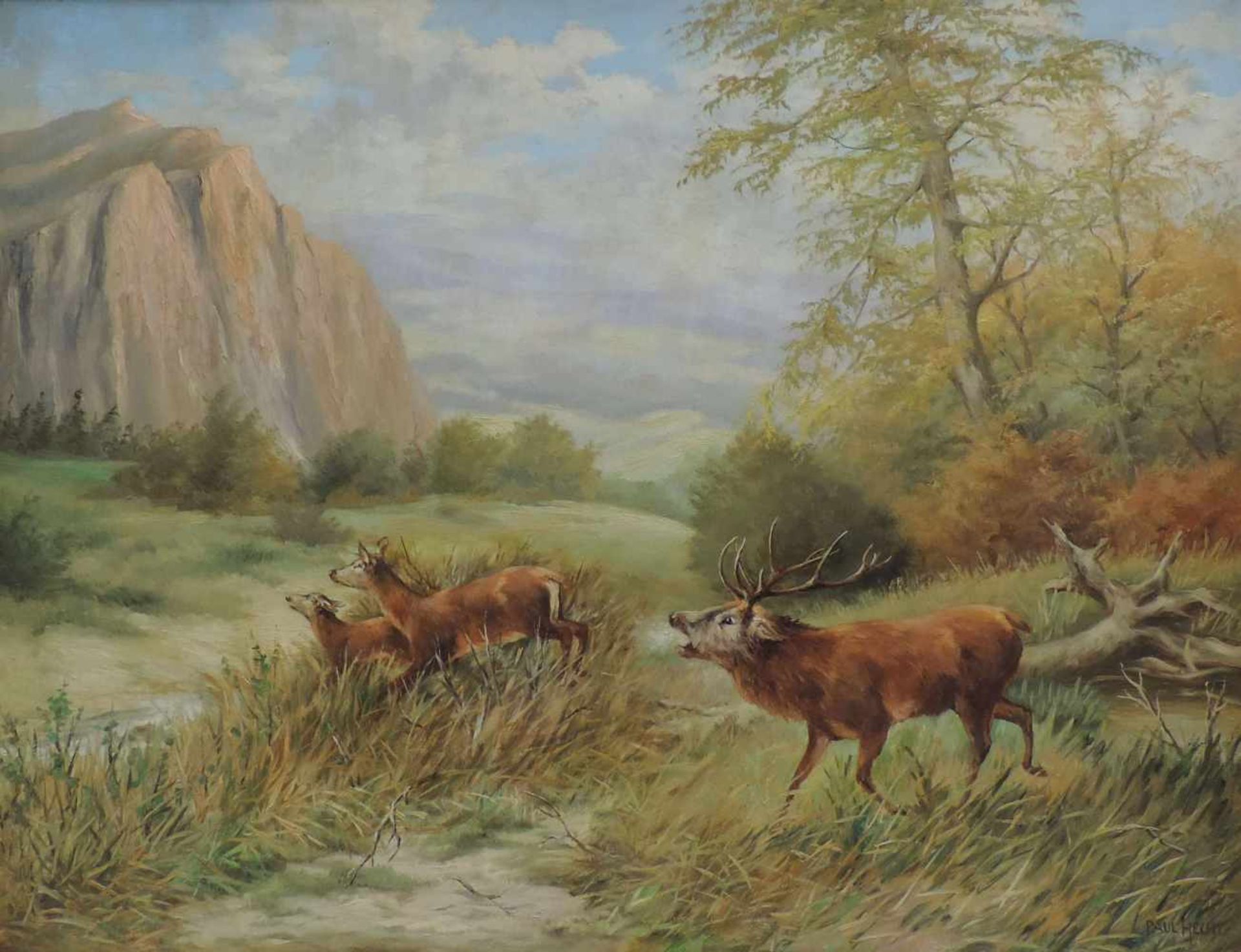 HECHT, Paul, Öl/Lw, Hirsche vor Landschaft, 60 x 89, GoldStuckR