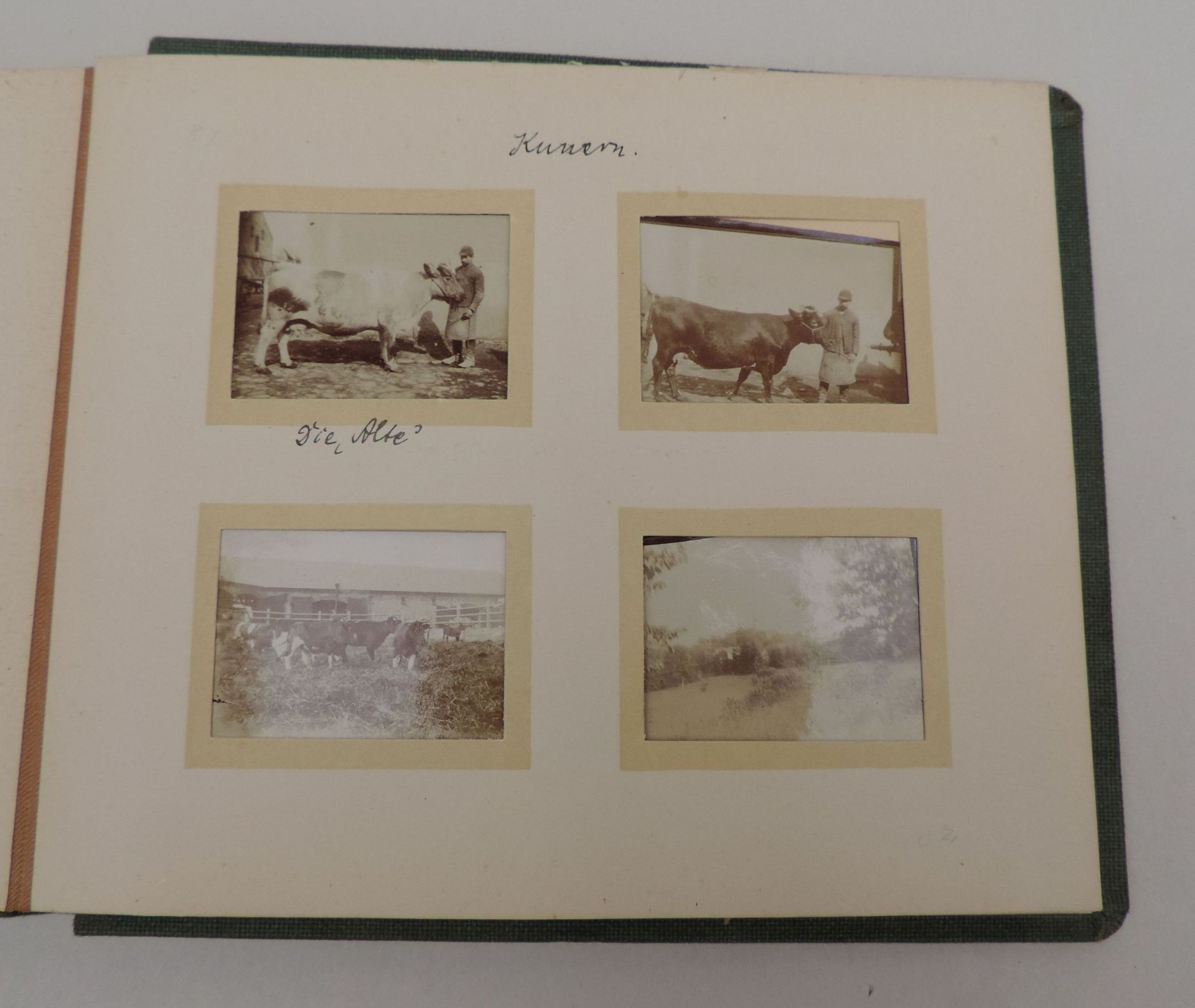 PHOTOALBUM, Umkreis Schloss Haltauf/Schlesien und Kunern, kurz nach 1900,grüner Leineneinband, - Bild 3 aus 5