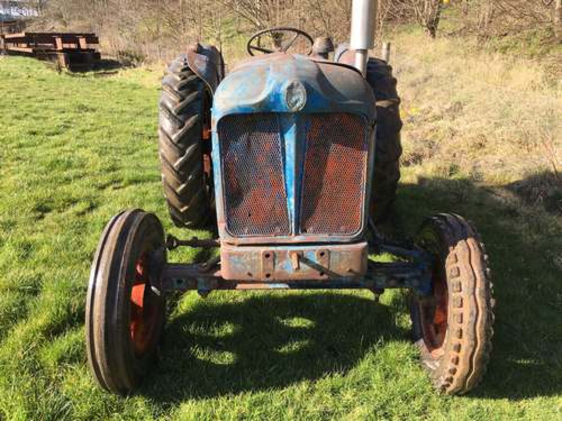 1954 Fordson Major Diesel Tractor - Image 3 of 17