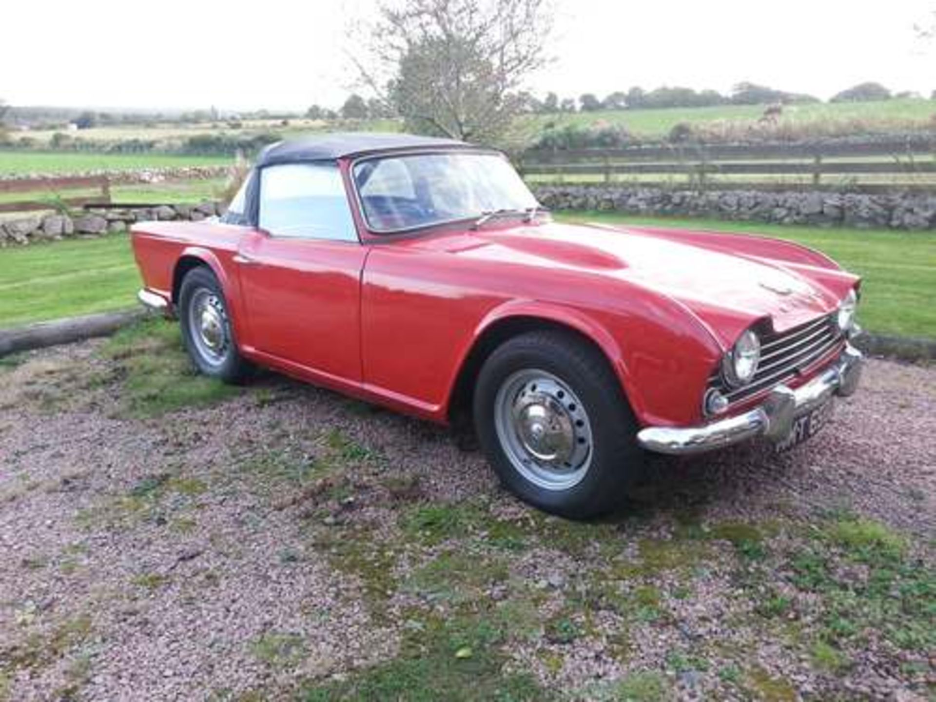 TRIUMPH TR4 - 2138cc