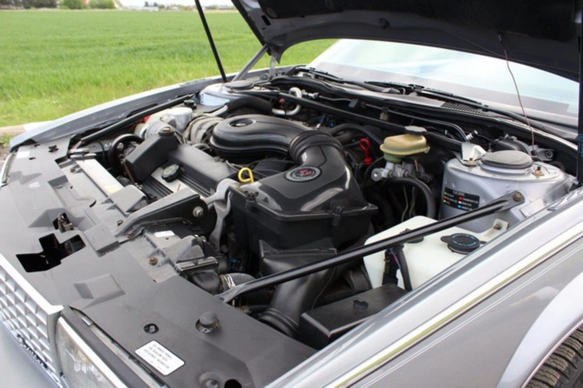 CADILLAC ELDORADO BIARRITZ 4.9 V8 - 4.9 - Image 16 of 17