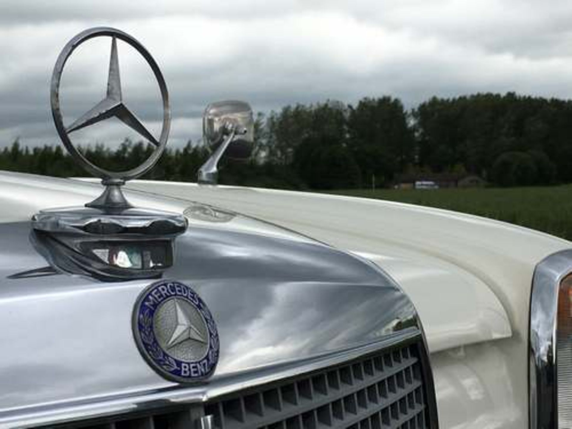 MERCEDES 250 - 2500cc - Image 8 of 15