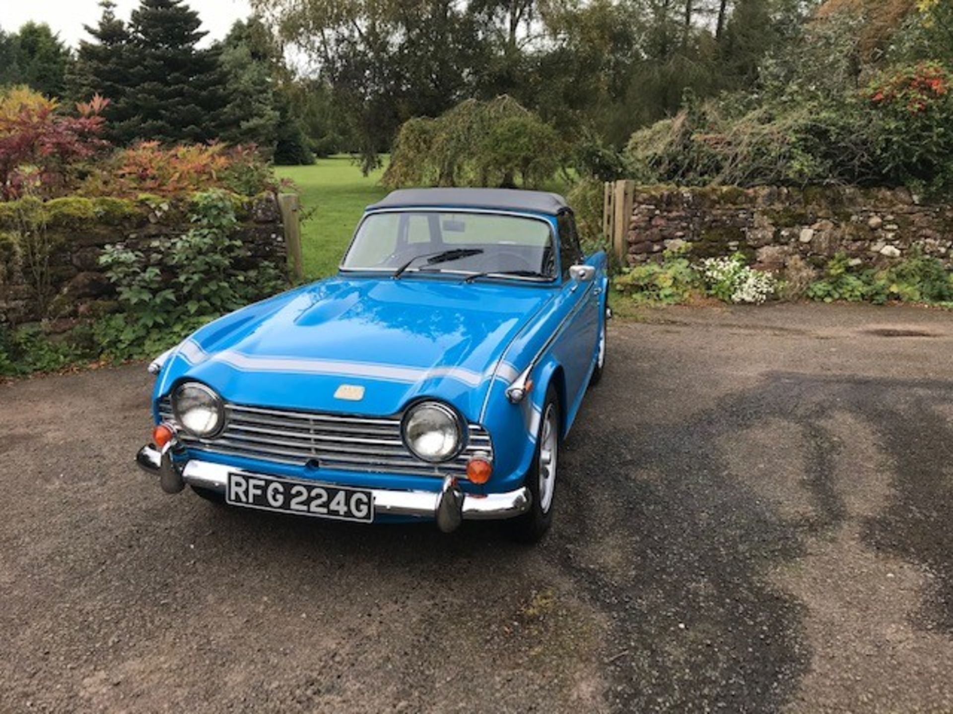 TRIUMPH TR250 - 2498cc