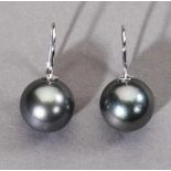 Paar Tahiti-Zuchtperlohrringe. Dunkelgraue Perlen, Ø 13,5 mm. Hakenbrisur in 14 ct. WG- - -27.00 %