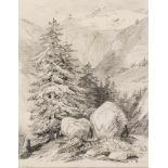 Alexandre Calame. 1810 Vevey - 1864 Menton. 2 Bll. Bleistiftzeichnungen aus einem Skizzenbuch, ein