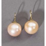 Paar Südseezuchtperl-Ohrringe. Lachsfarbene Perlen, Ø 16,8 mm. Hakenbrisur in 14 ct. GG- - -27.