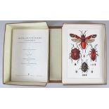 Naturkunde: Cramer, Erich (Hrsg.). Sammlung naturkundlicher Tafeln. Mitteleuropäische Insekten.