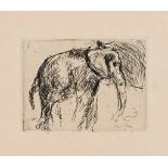 Lovis Corinth. 1858 Tapiau - 1925 Zandvoort. Um 1917/18. Elefant. Radierung, Aufl. 150 Ex. Pl. 8,6 x