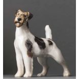 Fox Terrier. Figurine mit Unterglasurbemalung. Royal Copenhagen, nach 1923, grüne Zahl 1452/2967.