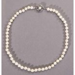 Perlenkette. Akoya-Zuchtperlen, Ø 7,5 mm. Schloss 14 ct. WG mit vier Saphiren und Perle. L 45