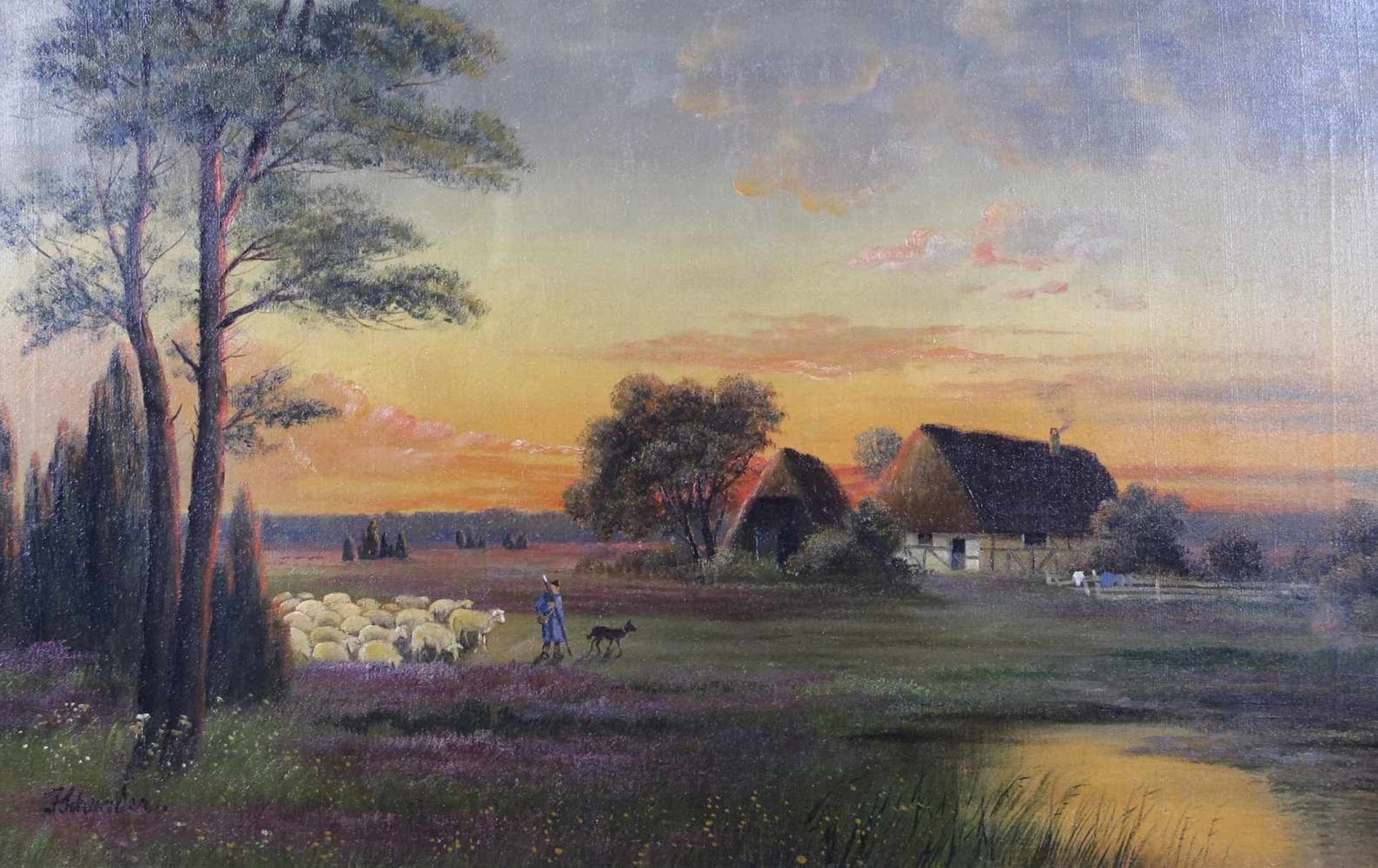 BEZ. J. SCHRADERSCHAFHERDE IM ABENDLICHT66 X 105 CM