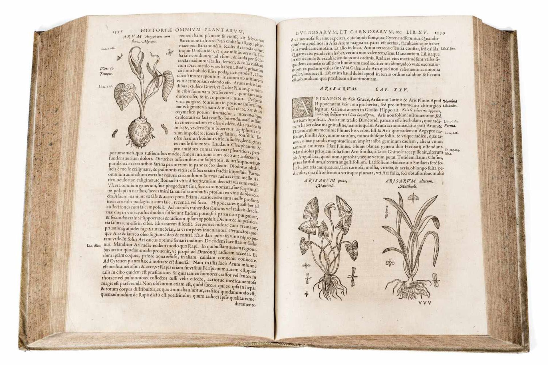 HISTORIAE GENERALIS PLANTARUM,PARS ALTERA, LYON 1586 - Bild 2 aus 2