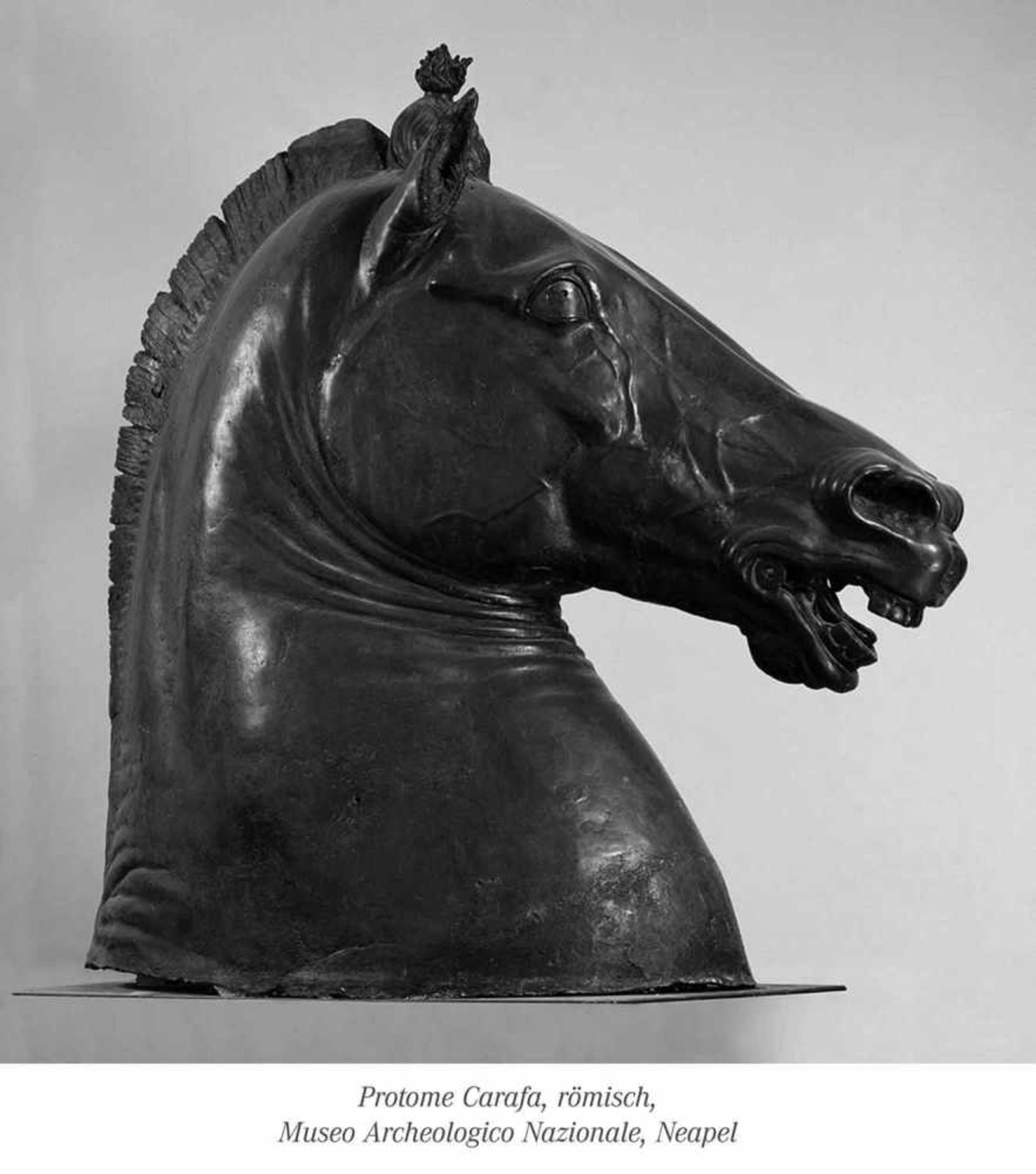 Grosses Modell eines Pferdekopfes nach römischem VorbildFrankreich, 19. JahrhundertH. 67/83 cmAus - Image 2 of 2