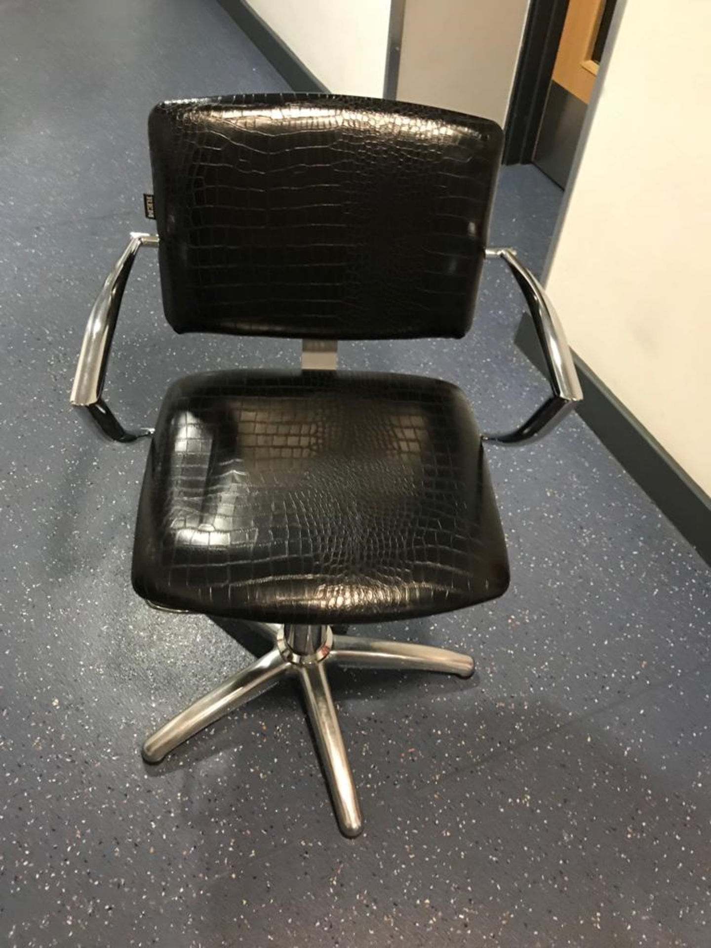 Black Leather Snake Skin Hairdressing / Barber's Chair