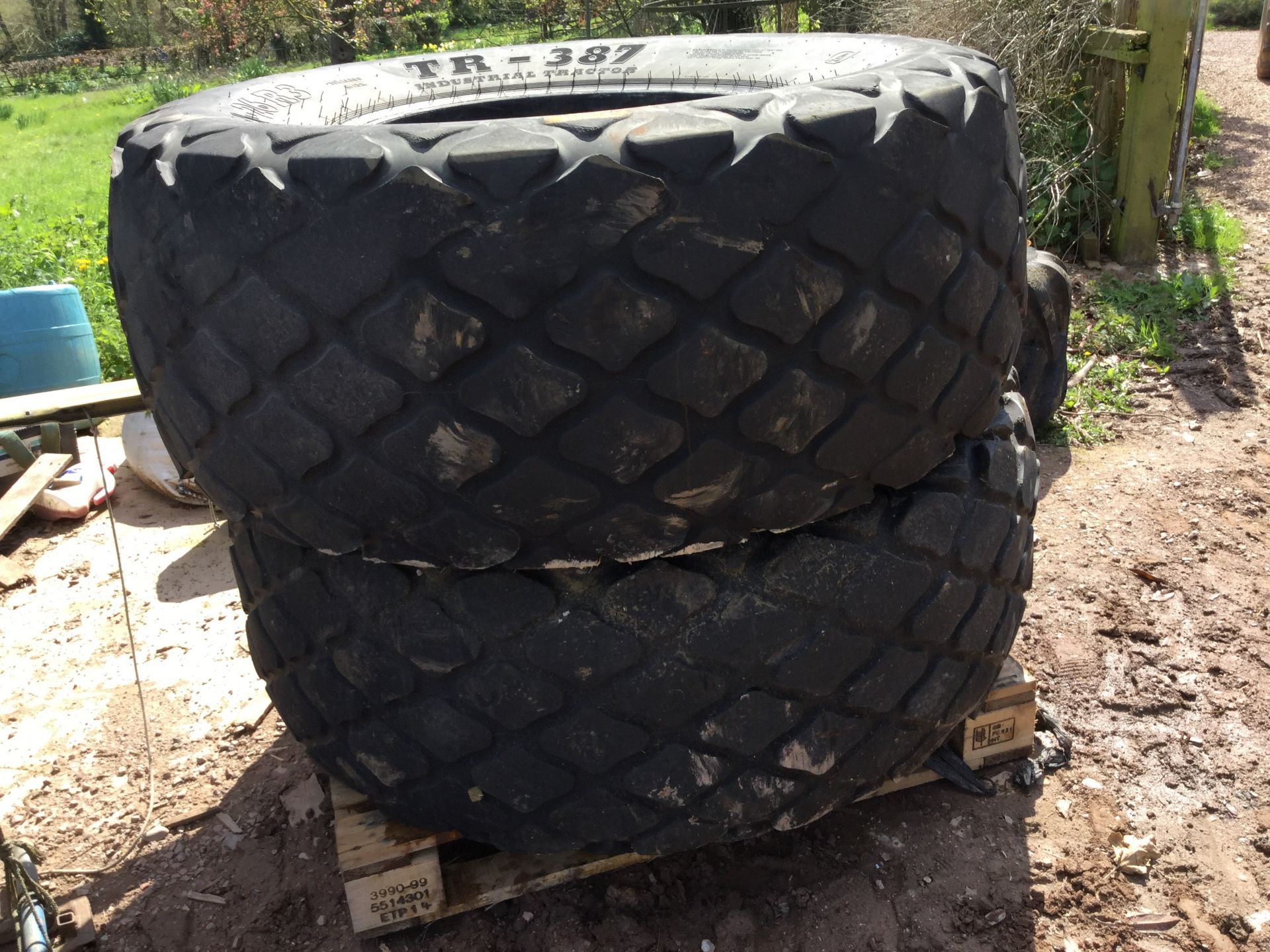 Two Grass Tyres - Image 2 of 2
