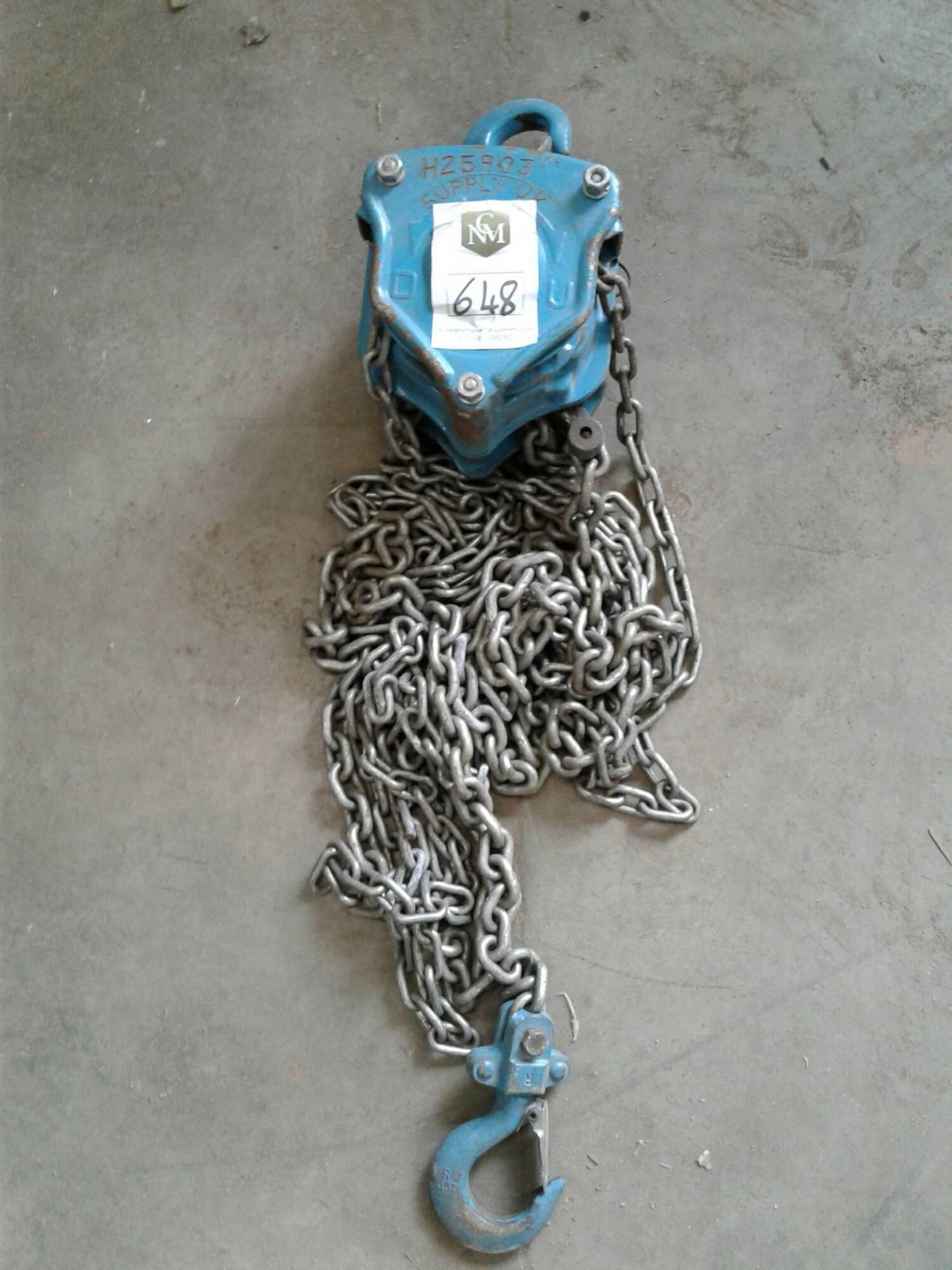 Single point chain hoist 500 kgs Max
