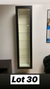 Glass Wall Display Unit