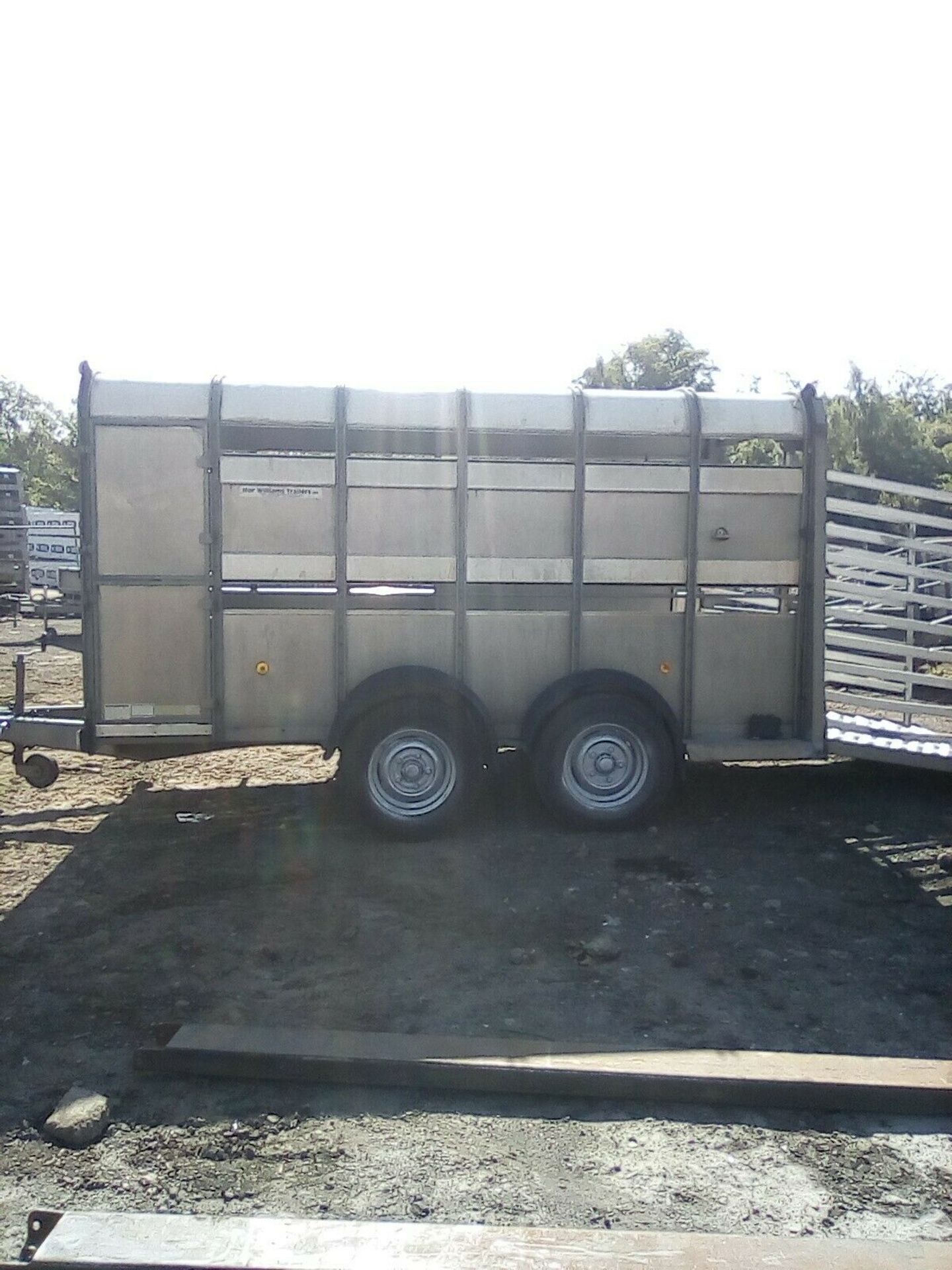 Ifor Williams Live Stock Trailer - Image 2 of 7