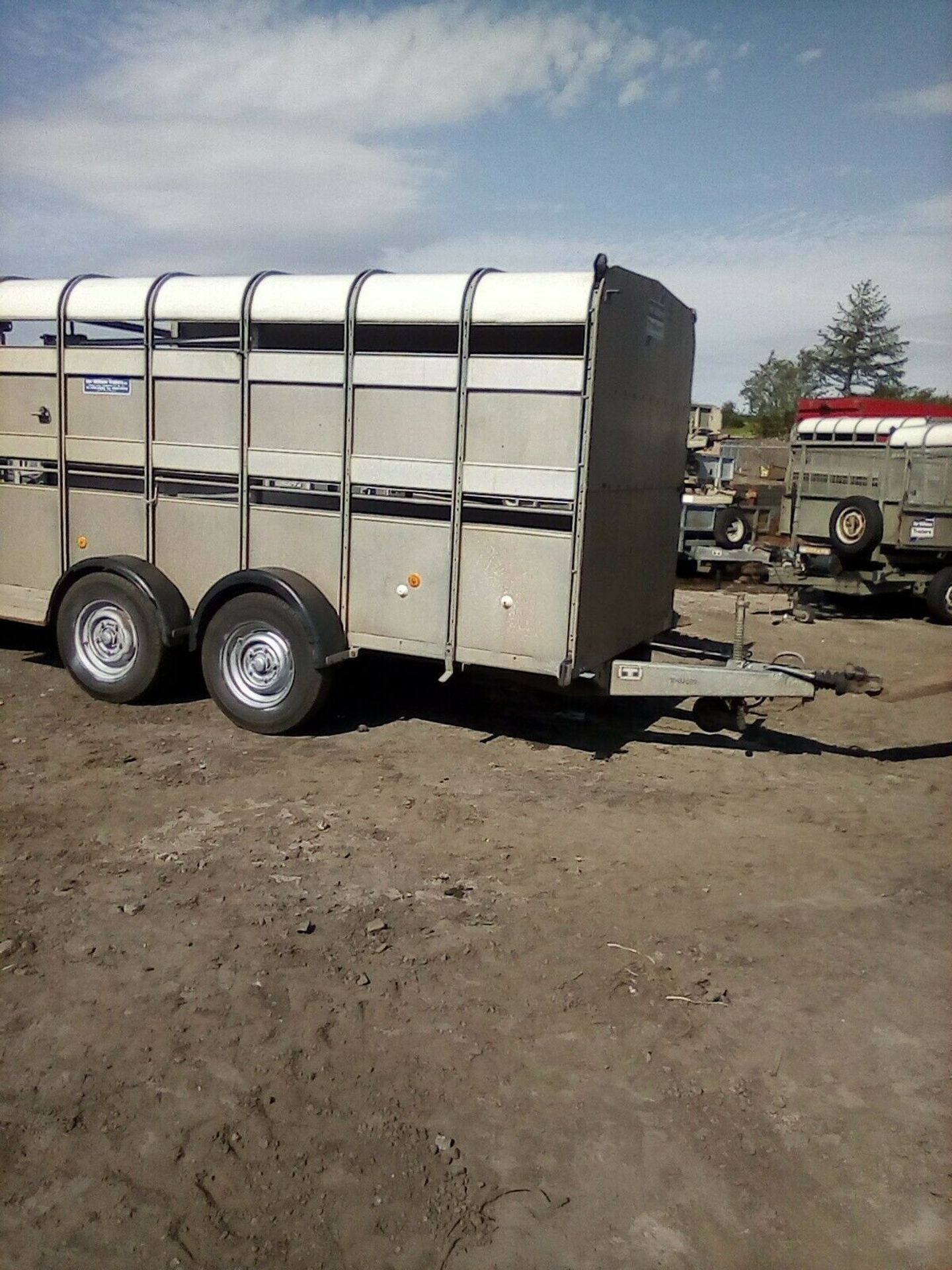 Ifor Williams Live Stock Trailer - Image 6 of 7