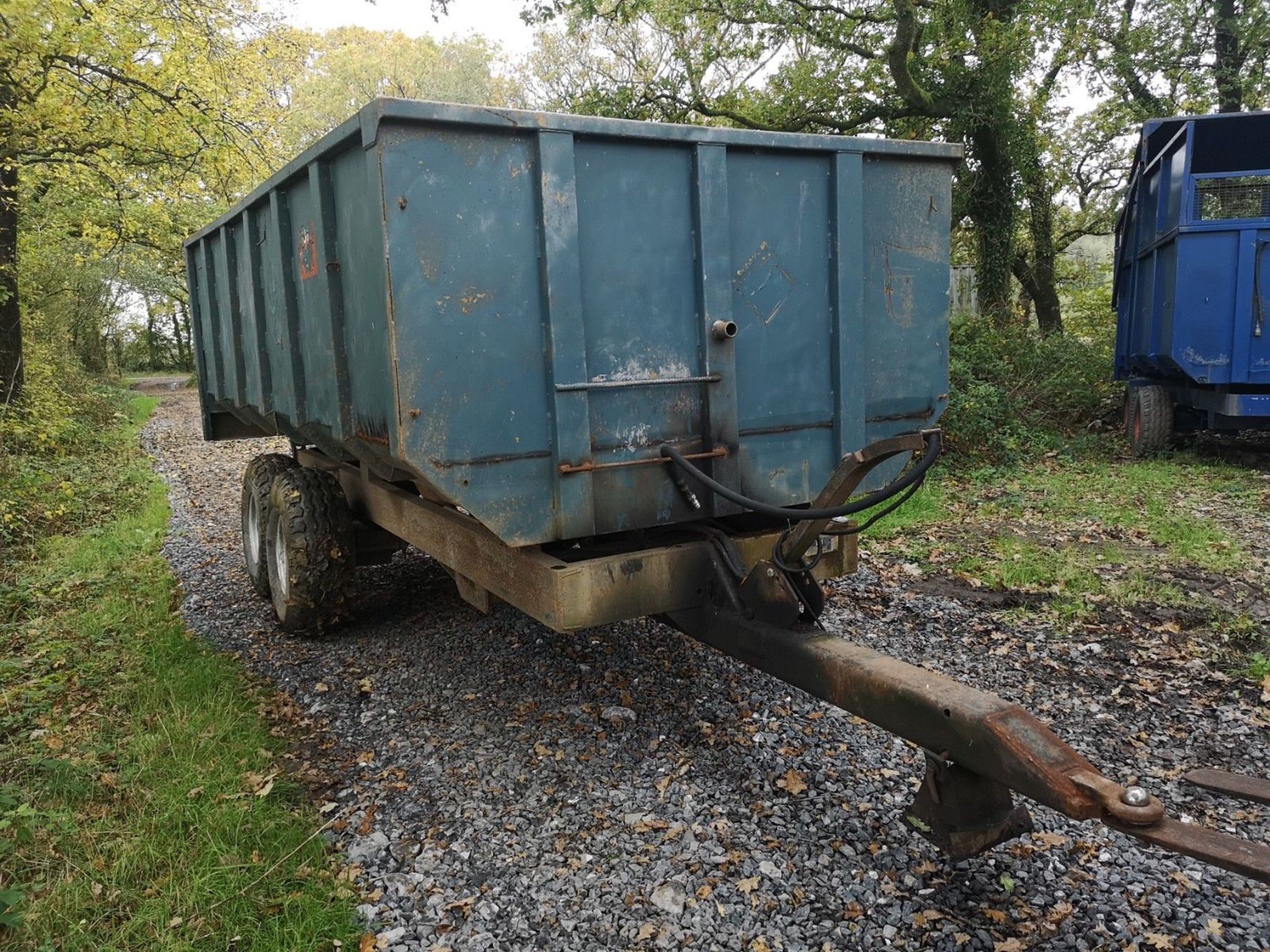 8 Ton Tipping / Grain Trailer. Twin Ram - Image 2 of 9