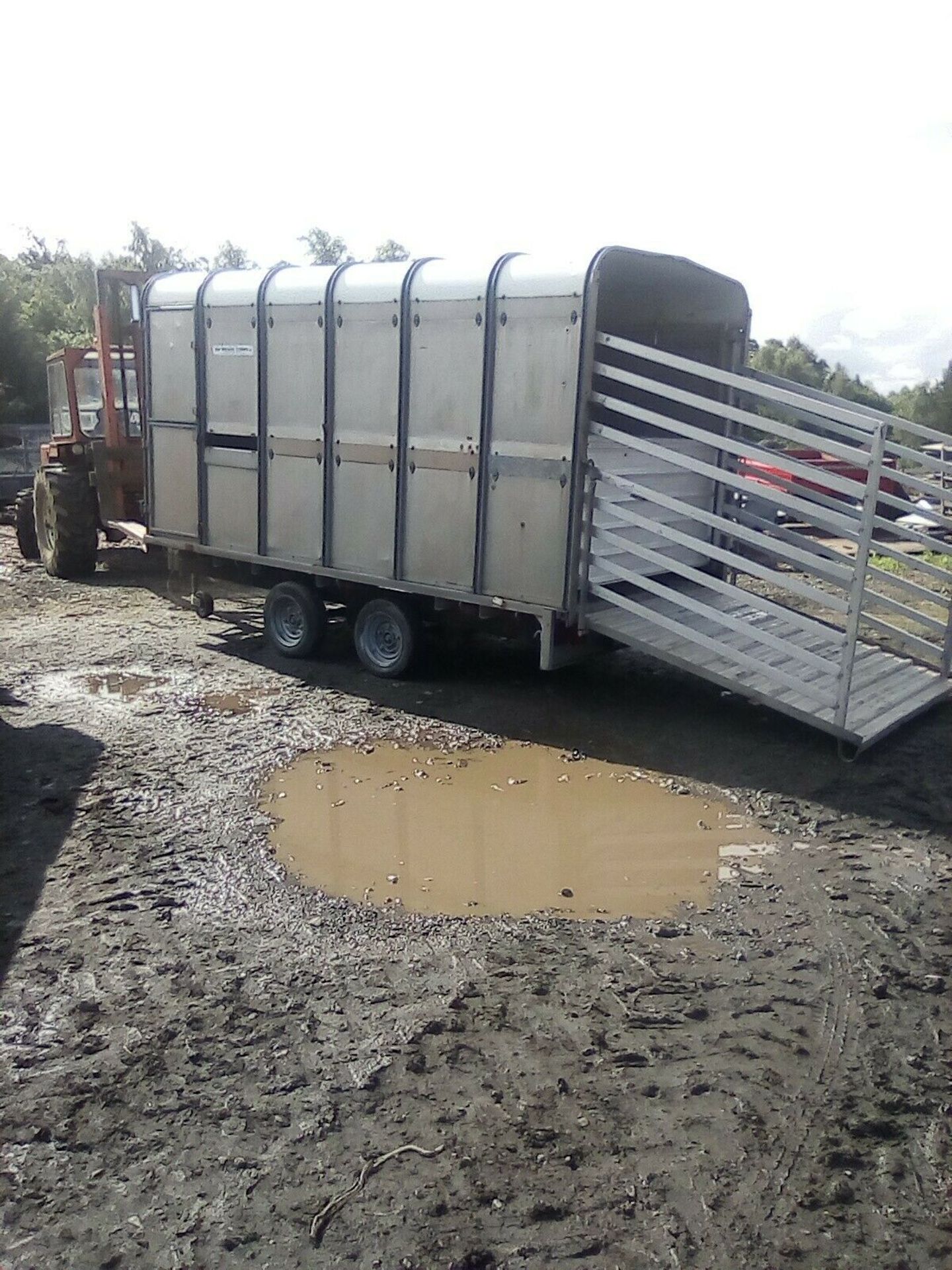 Ifor Williams Live Stock Trailer