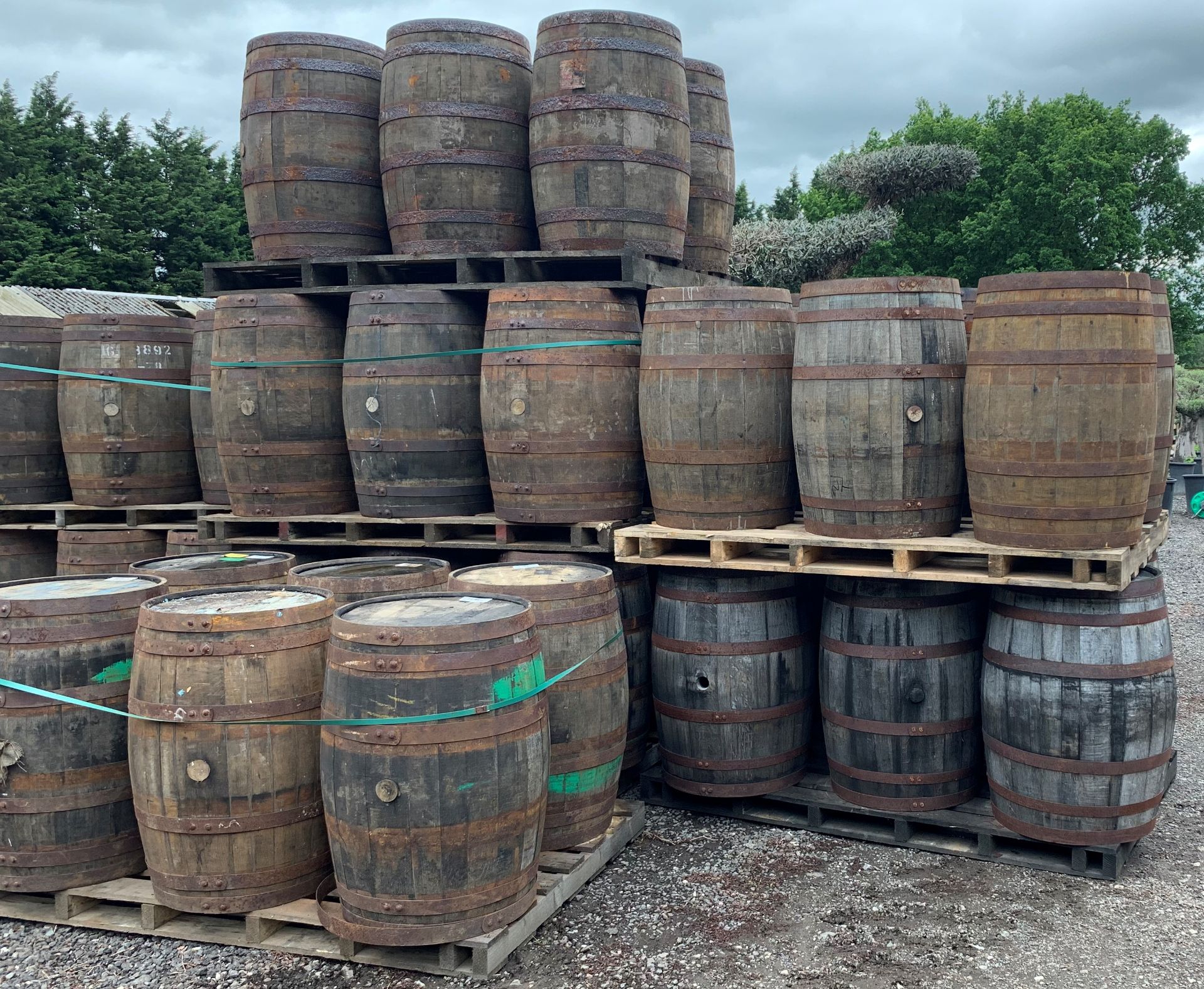 6 x OAK WHISKEY BARRELLS ON LARGE PALLET