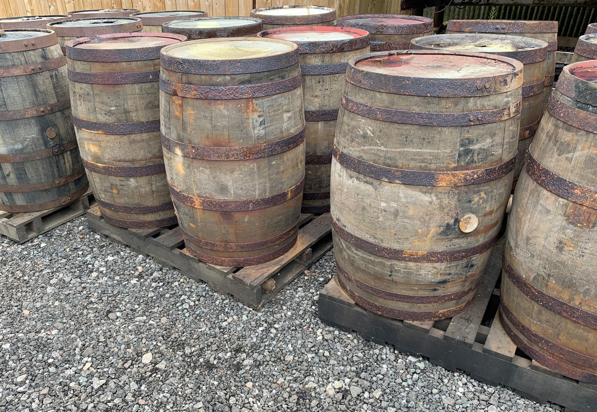 6 x OAK WHISKEY BARRELLS ON LARGE PALLET