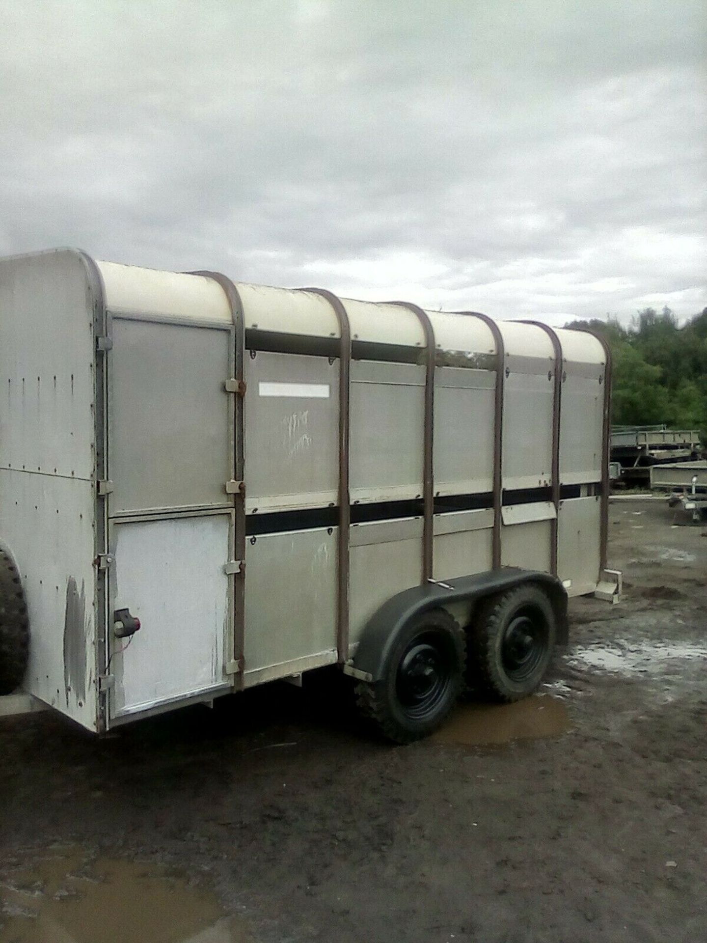 Ifor Williams Live Stock Trailer NO VAT - Image 3 of 6