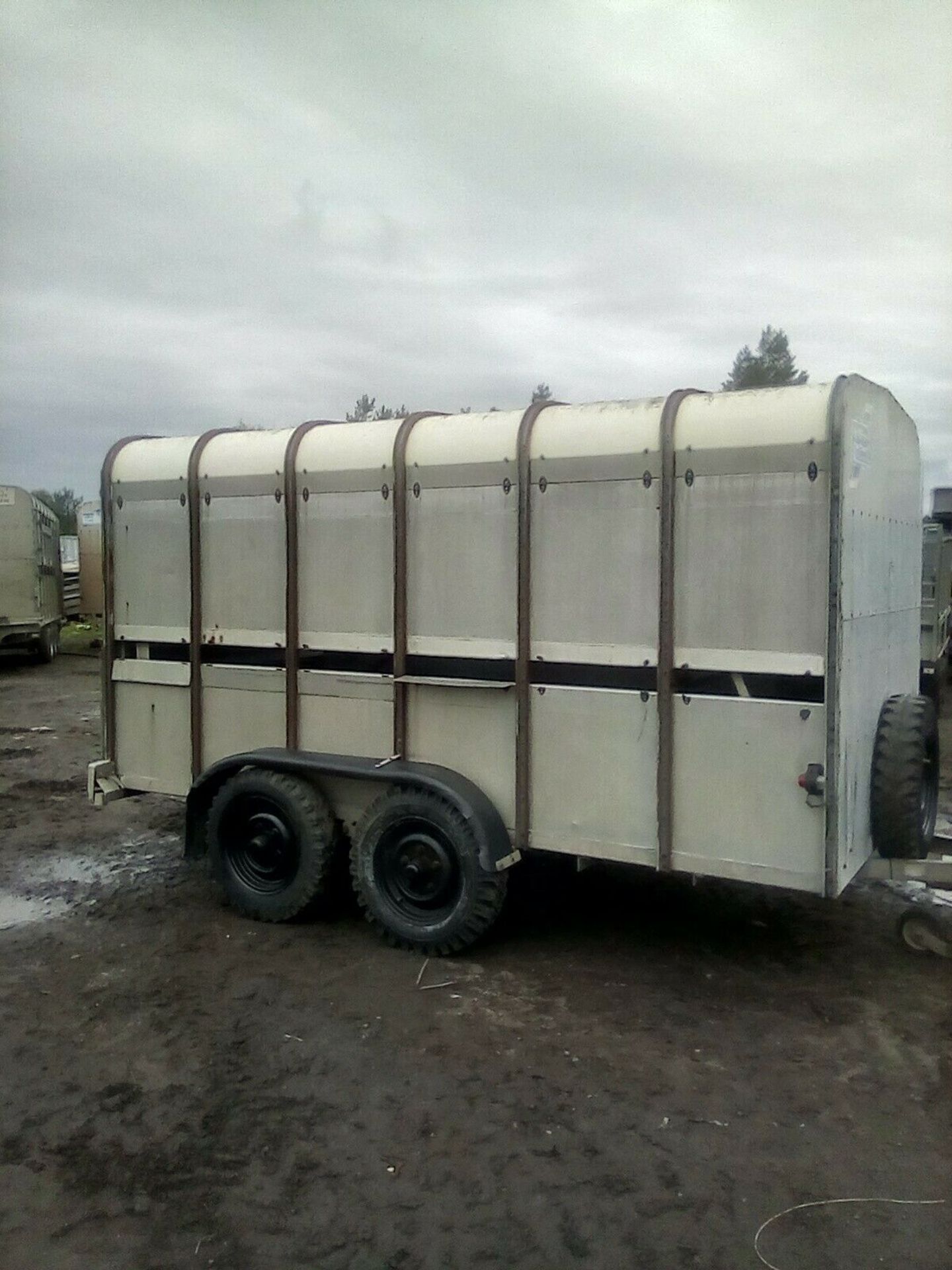 Ifor Williams Live Stock Trailer NO VAT - Image 5 of 6