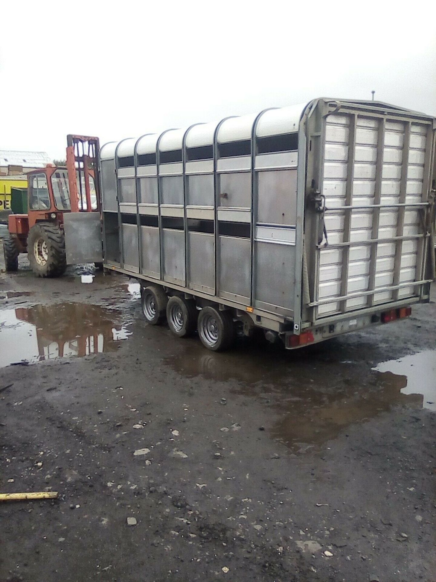 Ifor Williams Tri Axle Live Stock Trailer NO VAT - Image 2 of 9