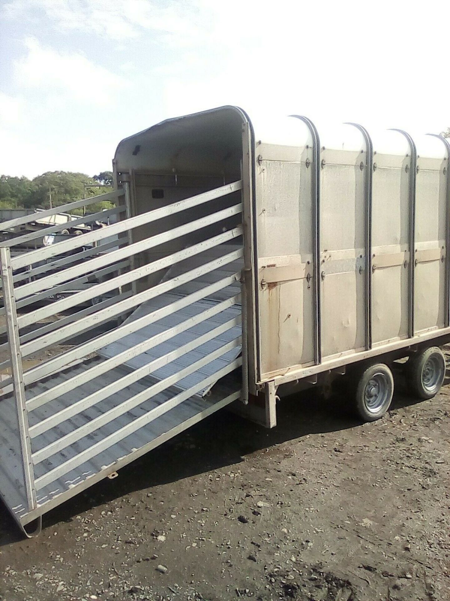 Ifor Williams Live Stock Trailer With Sheep Decks NO VAT - Image 5 of 6