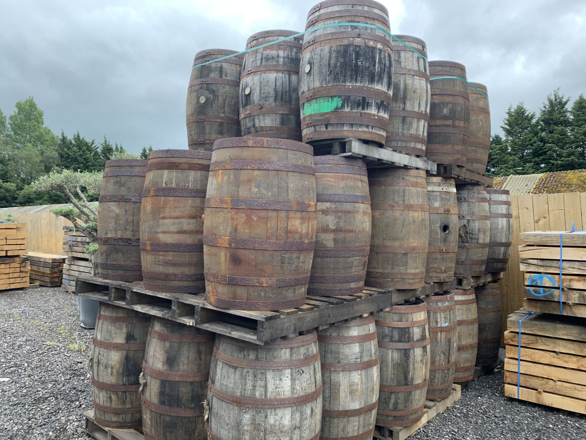 6 x OAK WHISKEY BARRELLS ON LARGE PALLET