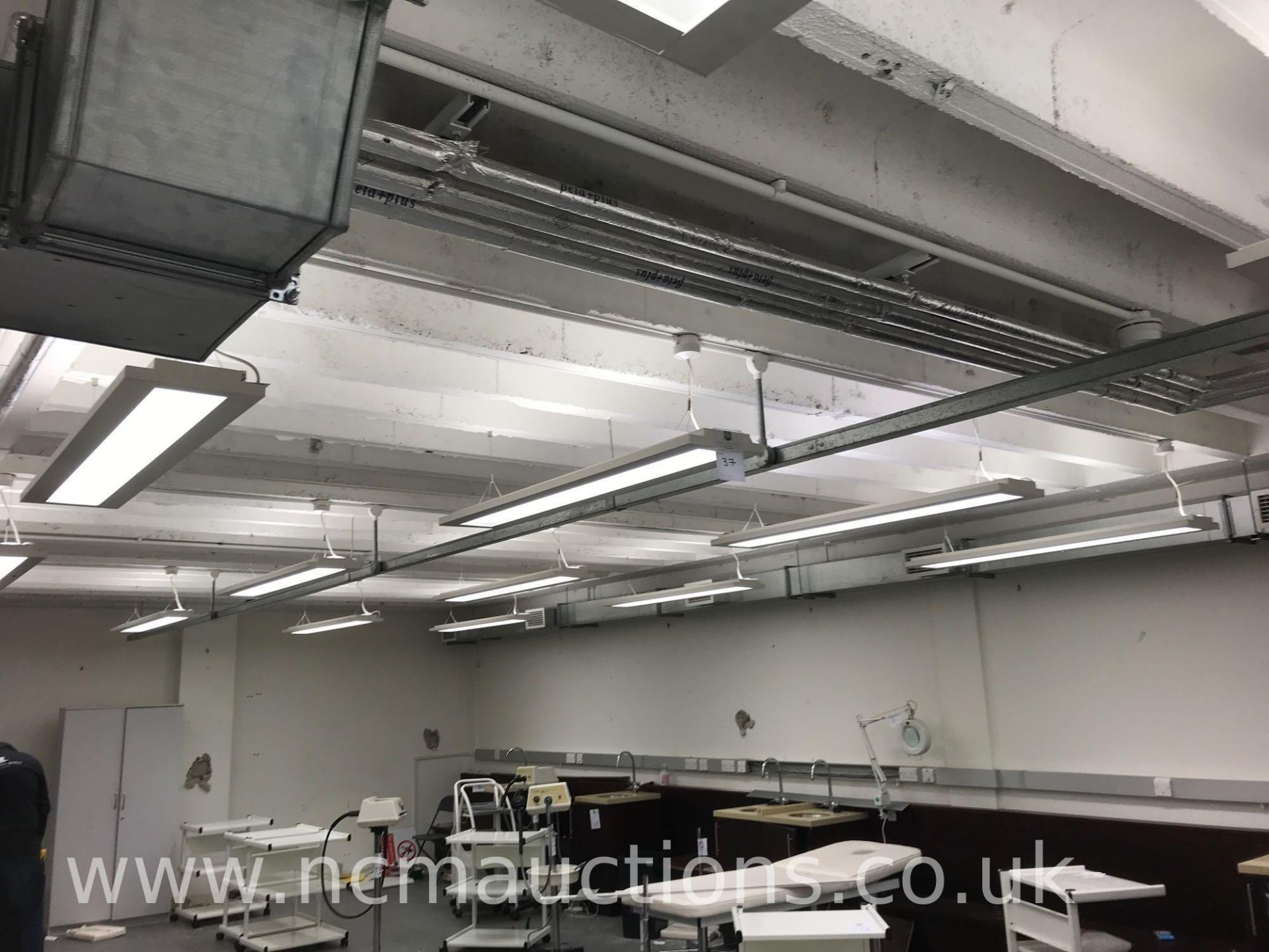 19x Suspended ceiling lights - Image 2 of 2