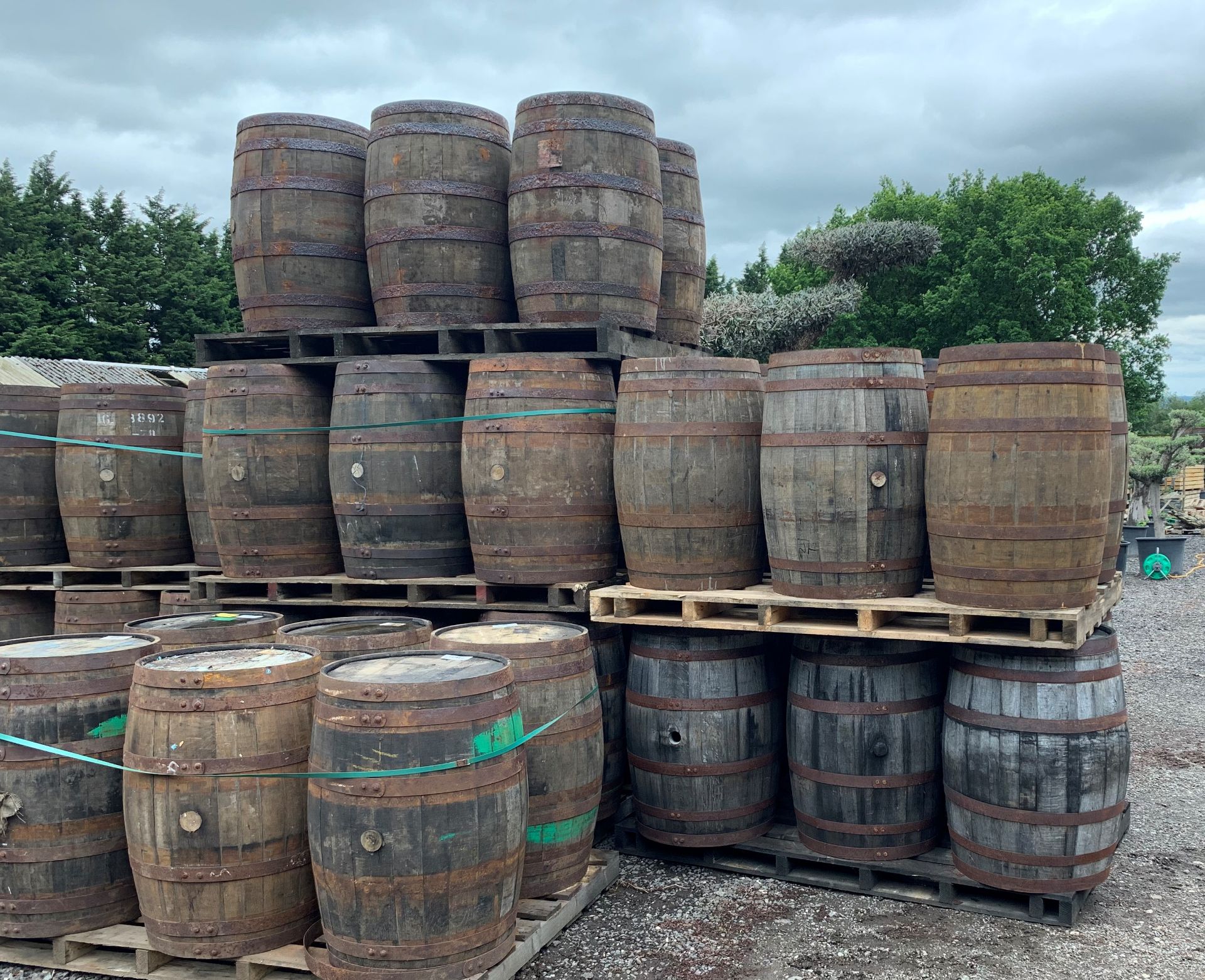 6 x OAK WHISKEY BARRELLS ON LARGE PALLET