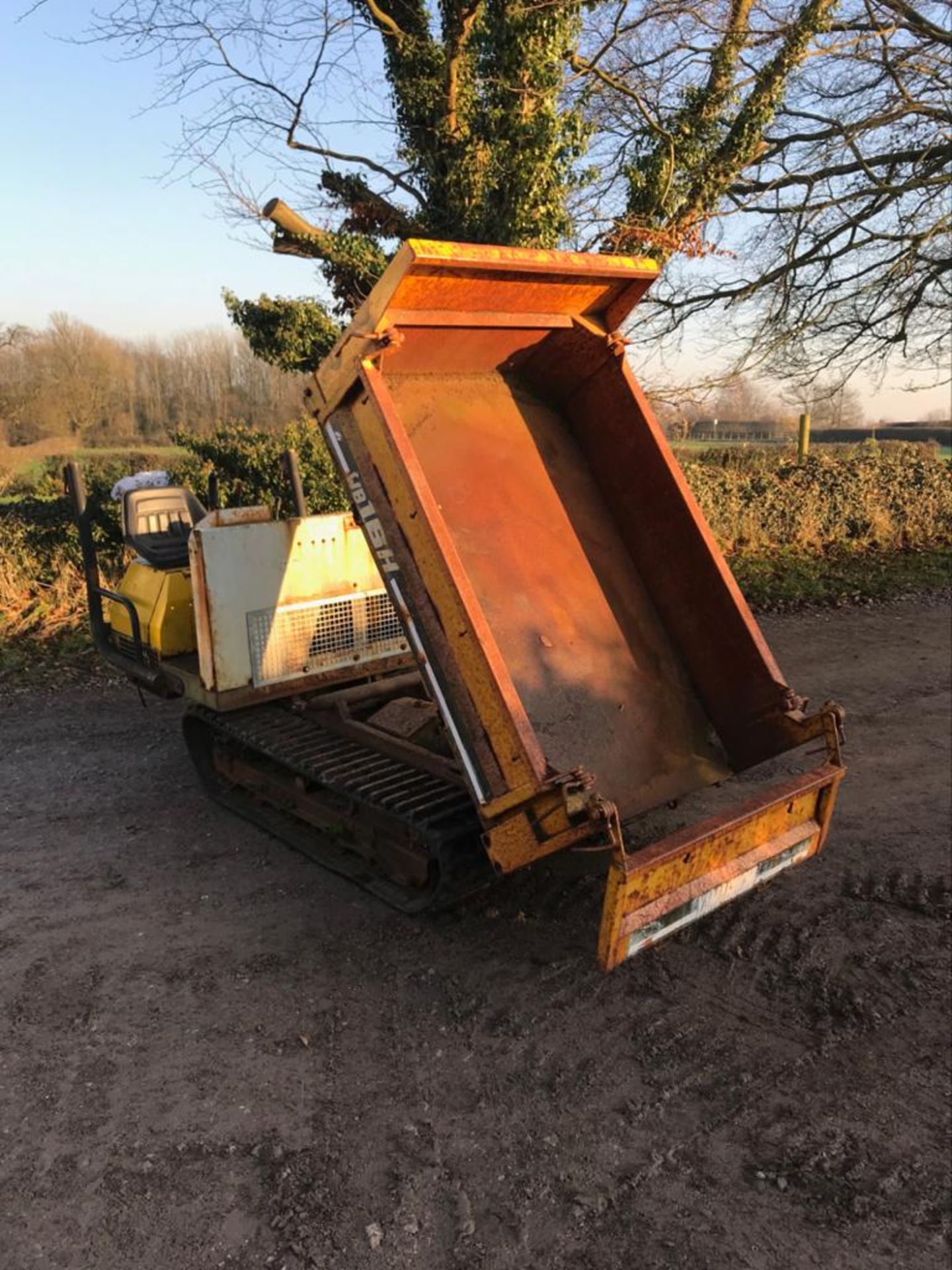 Yamaguchi 1.6 Ton Tracked Dumper - Image 4 of 6