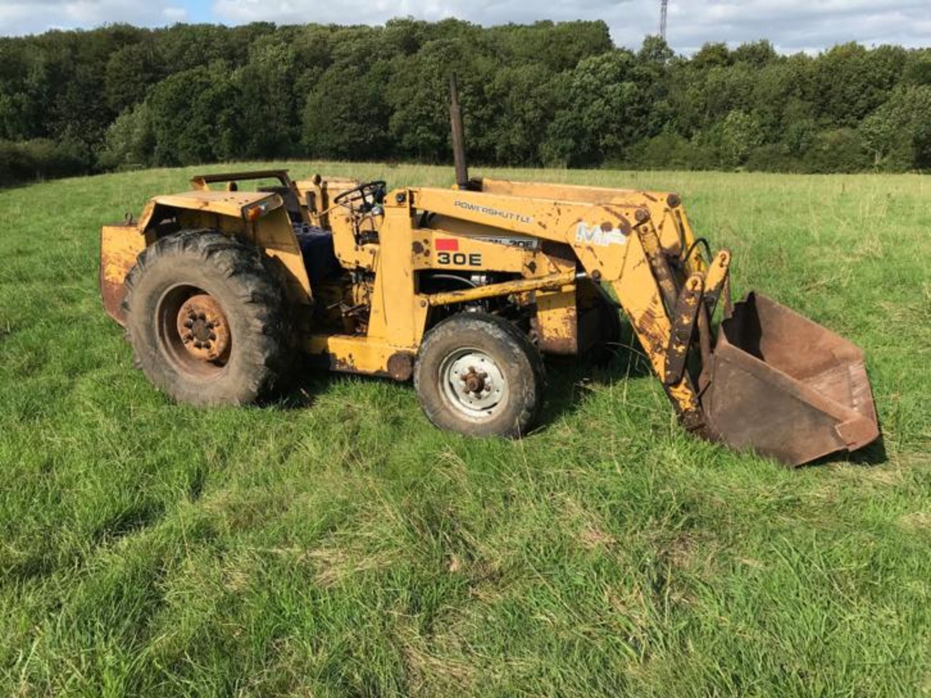 Massey Ferguson 30e, Power Loader - Image 4 of 4