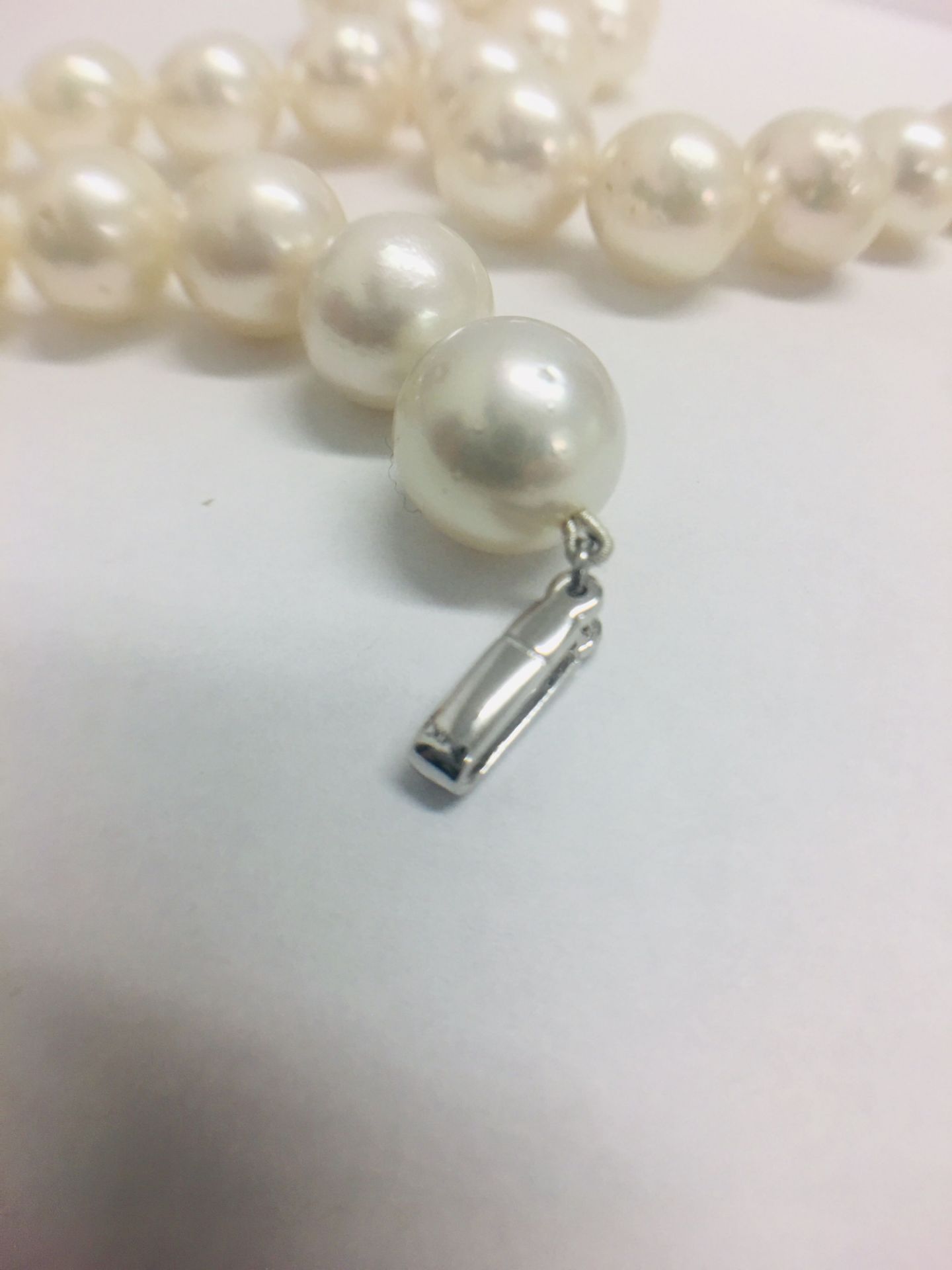 Strand 35 South Sea Pearls with 14ct White Gold Filagree Style Ball - Image 8 of 9