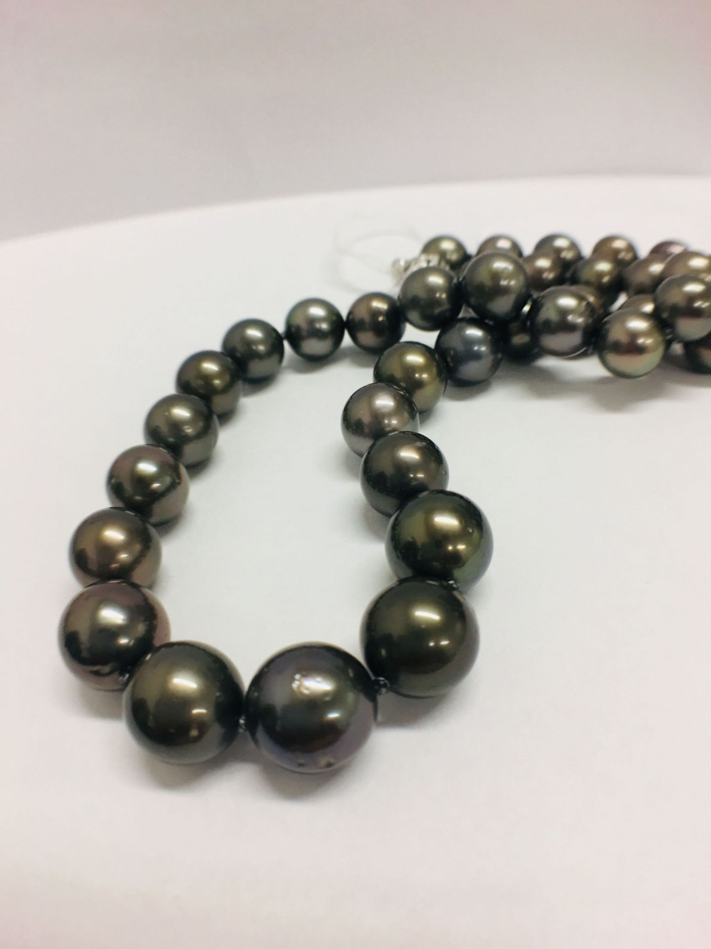 Tahitian Pearl Necklace - Image 2 of 9