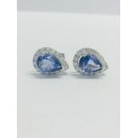 14ct White Gold Sapphire & Diamond Earrings.